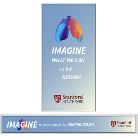 Stanford-Imagine-Ads